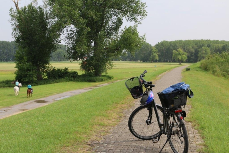 Radtour - Links und rechts den Rhein entlang